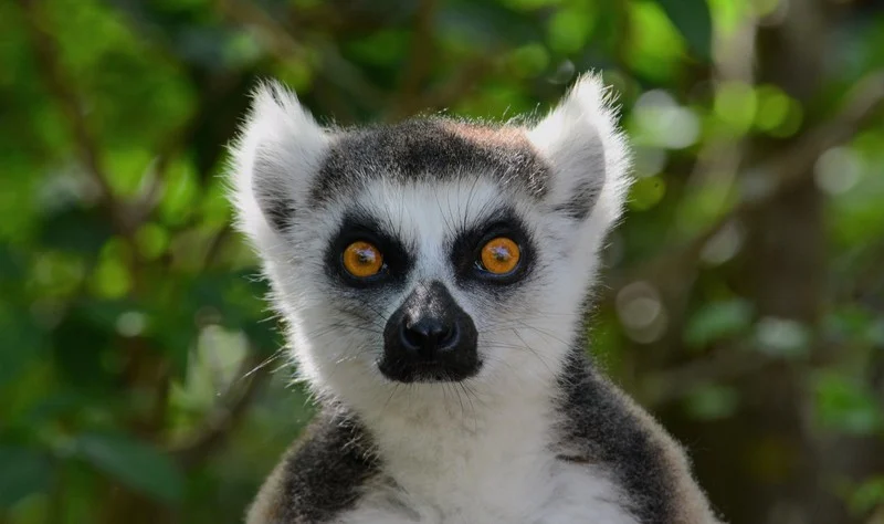 Anja Community Reserve
