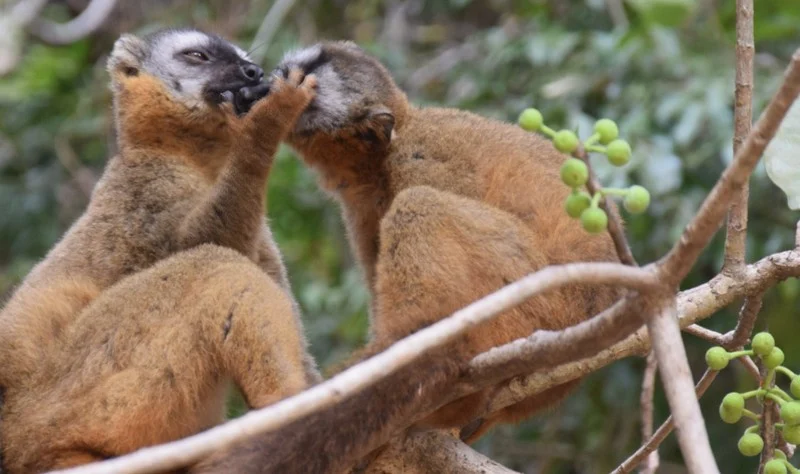 Isalo Nationalpark